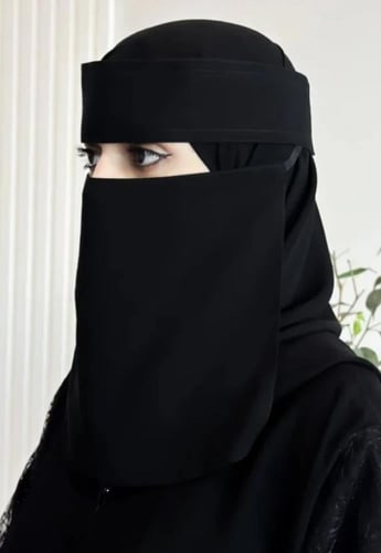 عرض ٣ نقابات مشبك