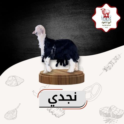 نجدي جبر