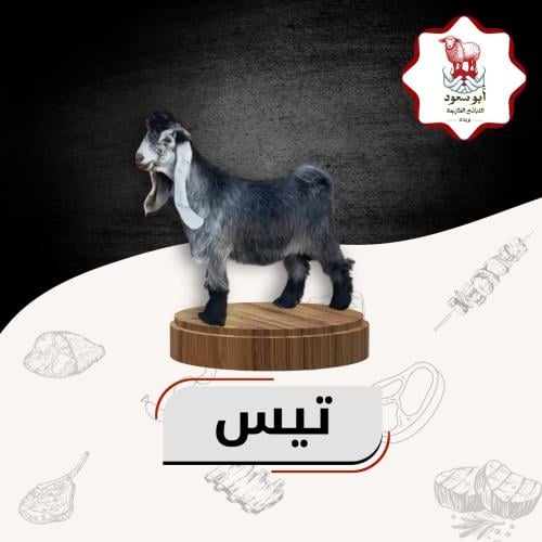 تيس لباني