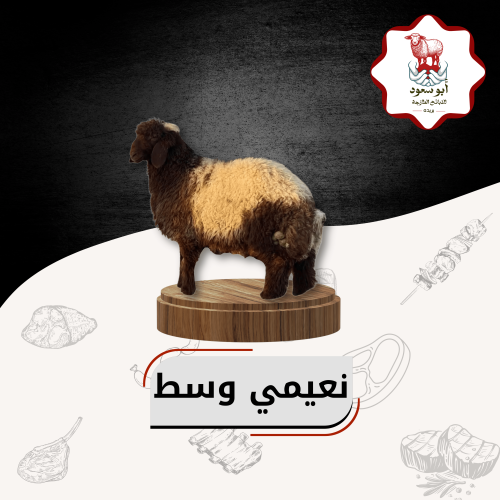 نعيمي وسط
