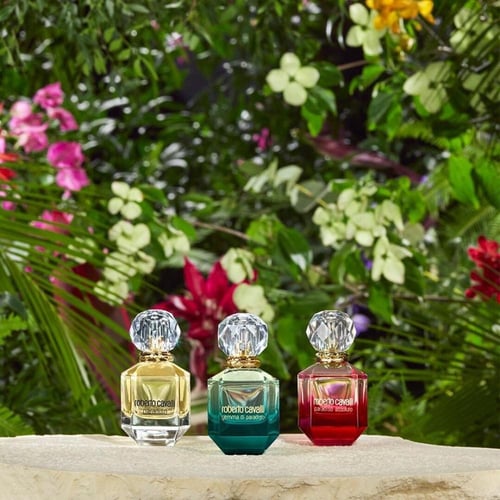 عطر باراديسو - او دي بارفيوم - من روبرتو كافالي