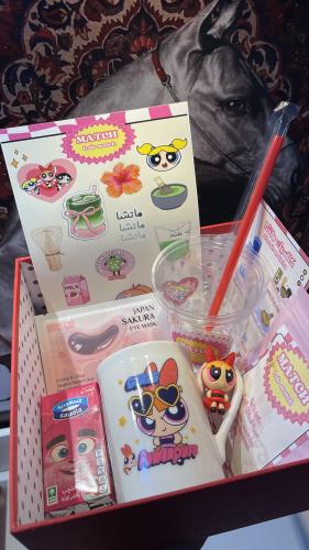 بوكس التوفير مكون من بوكسين