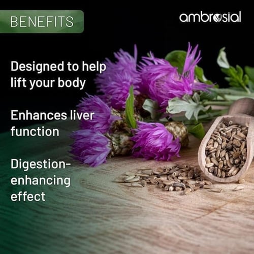 امبروسيال ملك ثيستل مضاد أكسدة لحماية خلايا الكبد...