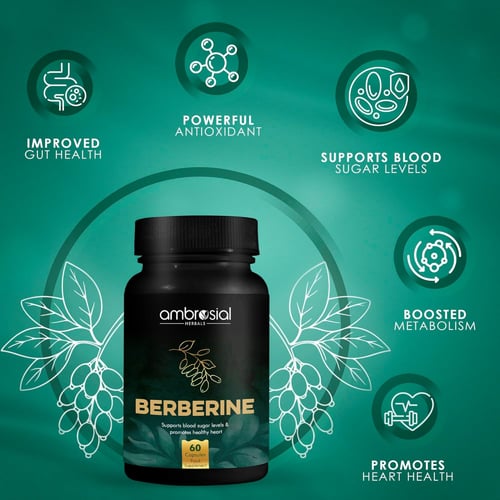 امبروسيال - بربرين تنظيم مستويات الجلوكوز والكوليس...