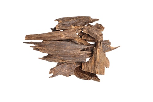 عود طبيعي كلمنتان بونتيانك دبل سوبر LOC225