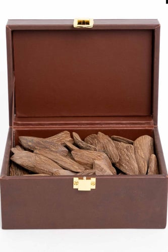 عود مروكي كنامي LOC205