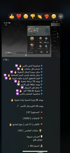 عالمي ١٩