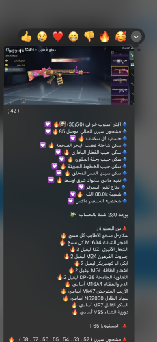 عالمي اسلحه شرق اوسط 42