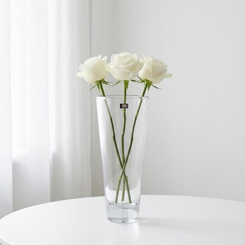 فازة كامبوس بوهيميا