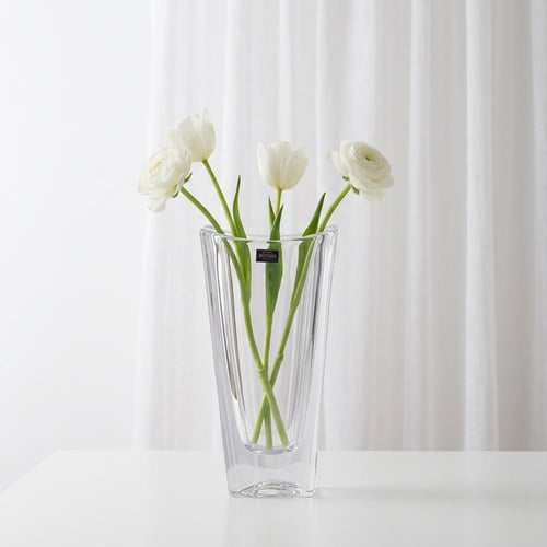 فازة اوكيناوا بوهيميا