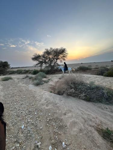 رحلة شروق الشمس ركوب حر