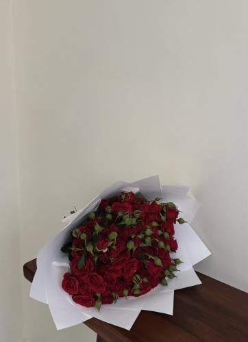مـودّة