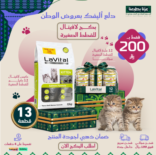 بكج الكيتن السعيد لليوم الوطني
