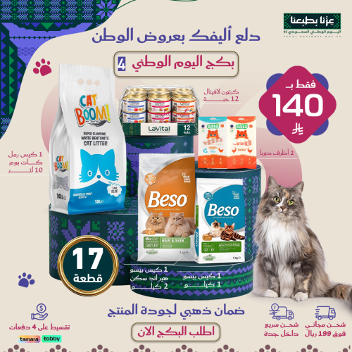 بكج اليوم الوطني 4