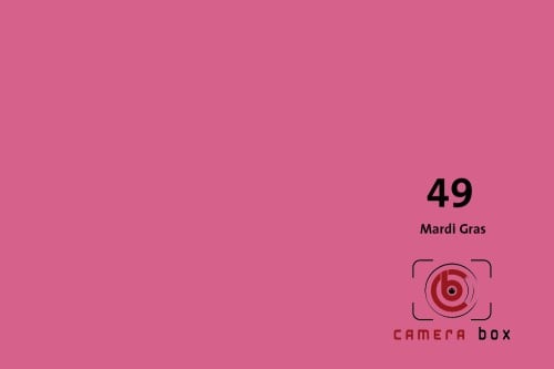 CameraBox #49 Seamless Background Paper (Mardi Gra...