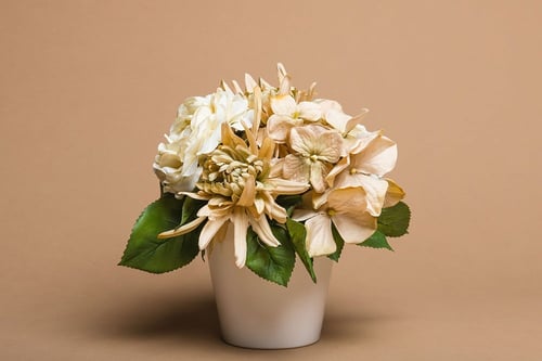 CameraBox #25 Seamless Background Paper (Beige, 2....