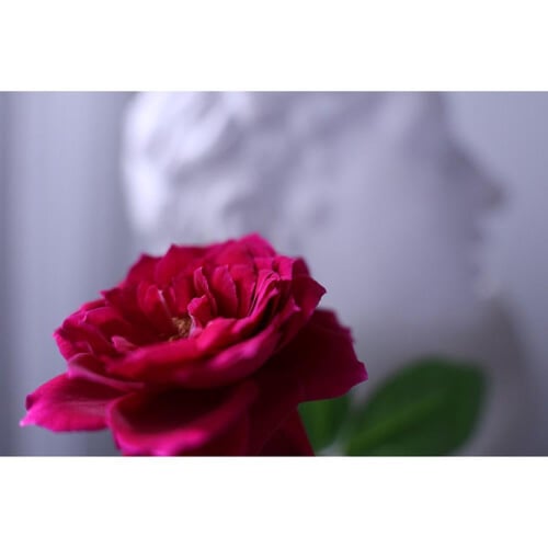 Canon RF 16-28mm f/2.8 IS STM Lens (Canon RF)