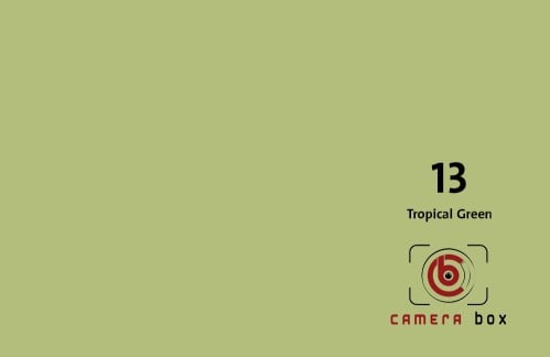 CameraBox #13 Seamless Background Paper (Tropical...