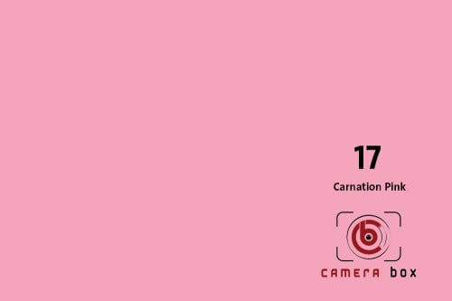 CameraBox #17 Seamless Background Paper (Carnation...