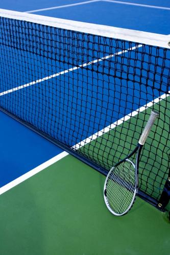 شبك ملعب تنس 12 متر (ماجستيك) - Tennis court net 1...