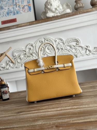Hermes Birkin Bag (Gold & Silver Hardware Edition)
