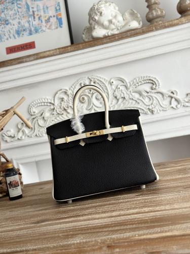 Hermes Birkin Bag (Gold & Silver Hardware Edition)
