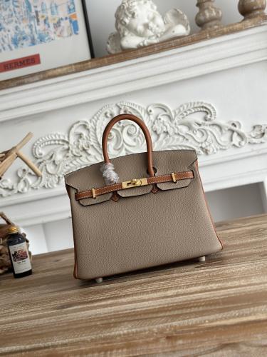 Hermes Birkin Bag (Gold & Silver Hardware Edition)