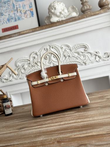 Hermes Birkin Bag (Gold & Silver Hardware Edition)