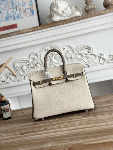 Hermes Birkin Bag (Gold & Silver Hardware Edition)