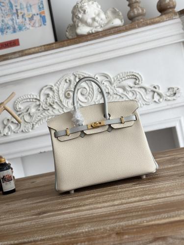 Hermes Birkin Bag (Gold & Silver Hardware Edition)