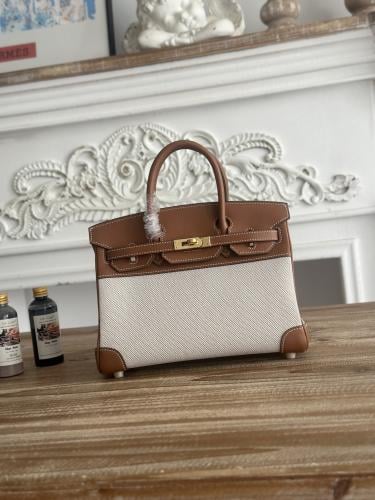 Hermes Birkin Bag (Gold & Silver Hardware Edition)