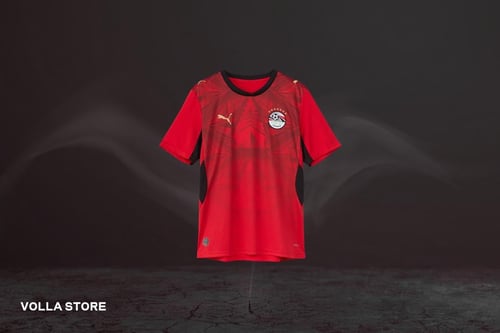 Egypt basic T-shirt for the World Cup 26 (for play...