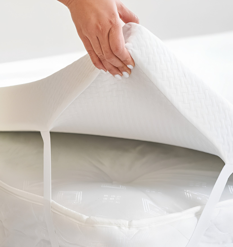 مرتبة تطرية لاتكس