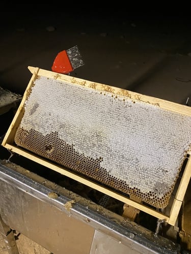 عسل سرح 500جرام