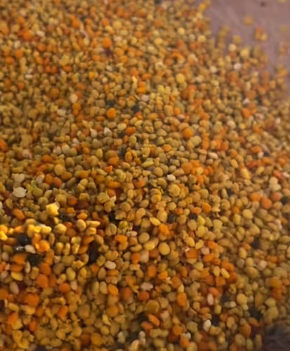 حبوب لقاح بلدي 150جرام