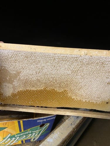 عسل سرح 500جرام