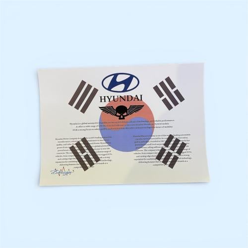 Korea flag print Hyundai