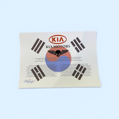 Korea Kia flag print