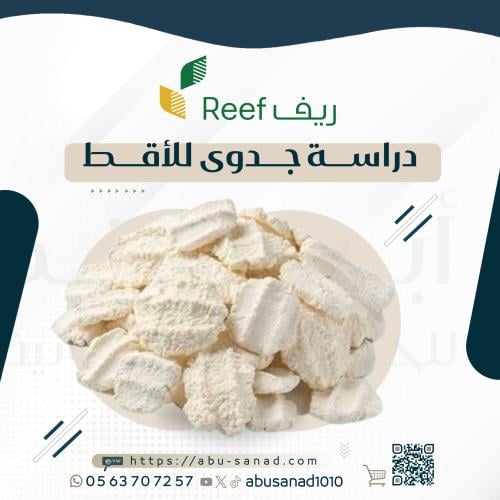 دراسة جدوى ريف للاقط