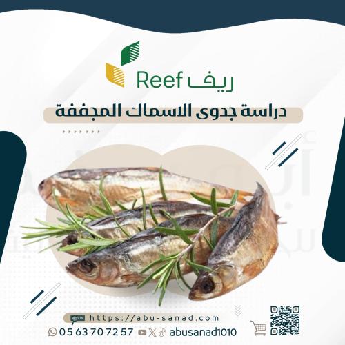 دراسة جدوى الأسماك المجففة | ريف