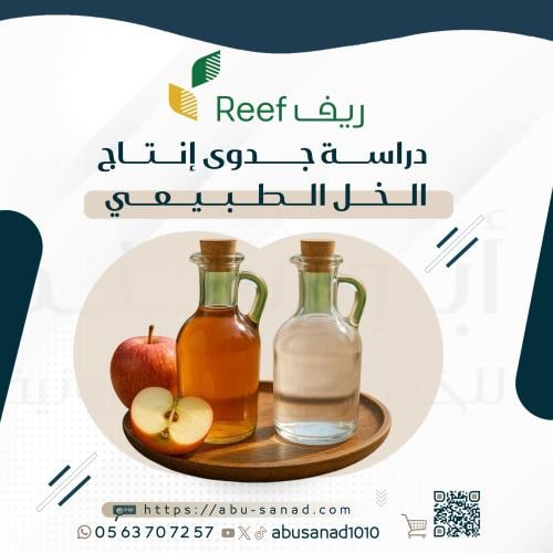 دراسة جدوى انتاج الخل الطبيعي | ريف