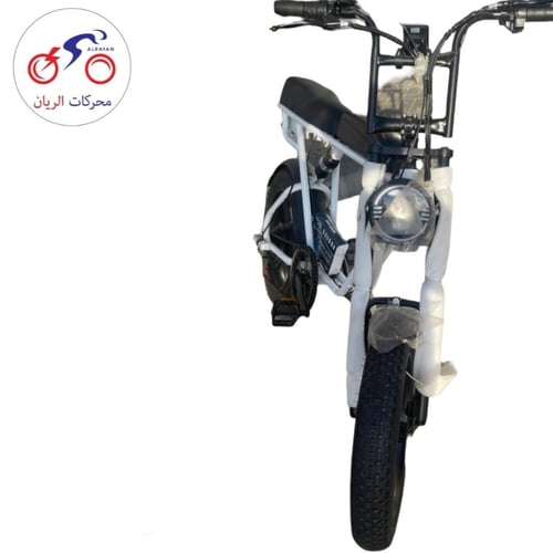 دراجة كهربائية مقعدة طويل EB-11