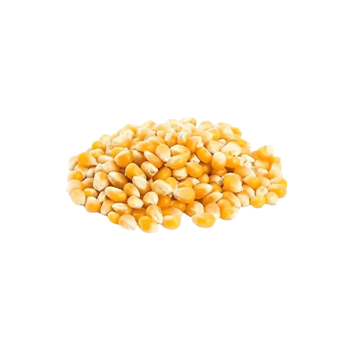 ذرة فشار 500 جرام (حسب الوزن)