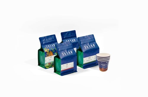 بوكس 3 بين بهوية شتوية