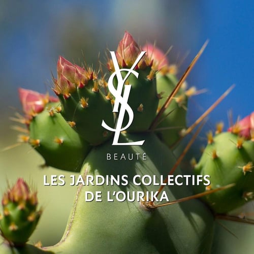 ايف سان لوران ليبر - زيت للجسم 150 مل