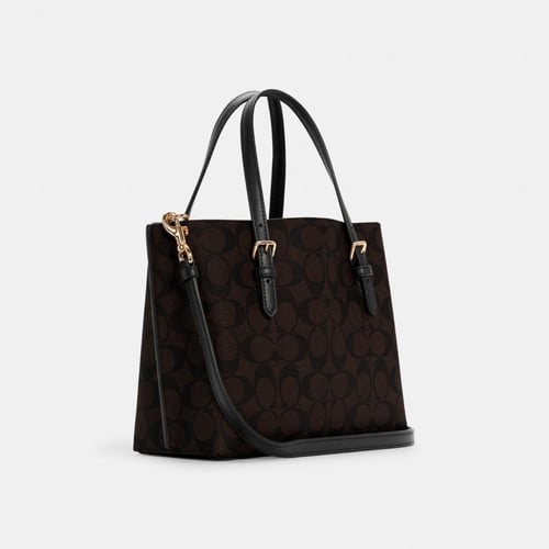 كوتش مولي توت باق - بني