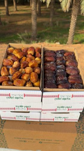 عرض ونانة وجلكسي