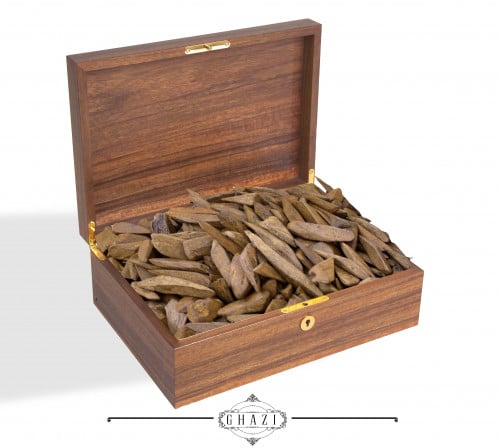 عود - زين منعم - الوقية