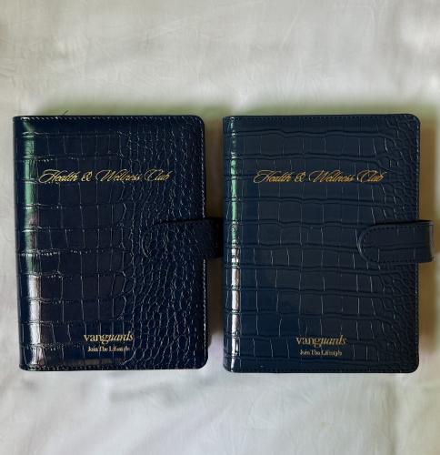 The VGD Blue notebook