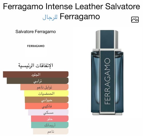 Ferragamo Intense Leather Salvatore